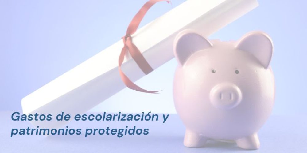 Gastos de escolarización y patrimonios protegidos