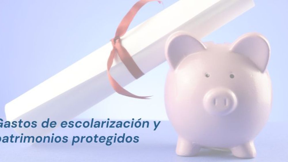 Gastos de escolarización y patrimonios protegidos